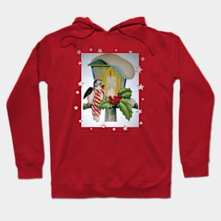 Winter Bird Sitting In Front Of A Christmas Lantern Hoodie